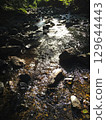 river flow and fallen leaves 129644443