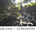 river flow and fallen leaves 129644444
