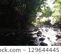 river flow and fallen leaves 129644445
