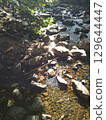 river flow and fallen leaves 129644447