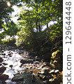 river flow and fallen leaves 129644448