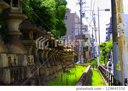 Scenery of the temple grounds③ 129645330