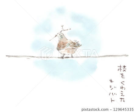 Watercolor illustration of a turtle dove building a nest on a power line with branches 129645335