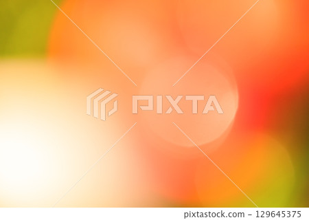 Defocused natural background of green and red colors. Abstract natural defocused lights. Defocused natural background of green and red colors. Abstract natural defocused lights. 129645375