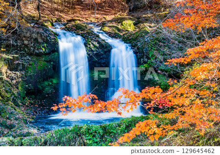 Kaneyama Falls in autumn colors in Yamanashi Kaneyama Falls in autumn colors in Yamanashi 129645462