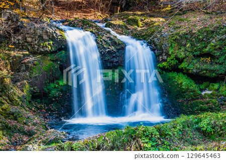 Kaneyama Falls in autumn colors in Yamanashi 129645463