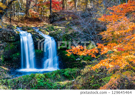 Kaneyama Falls in autumn colors in Yamanashi 129645464