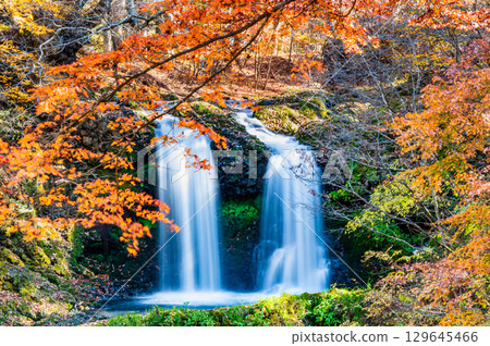 山梨縣的金山瀑布秋色絢爛 129645466
