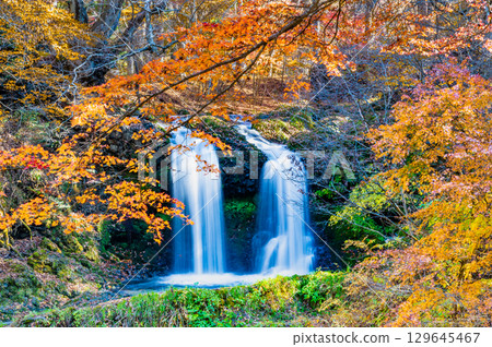 山梨縣的金山瀑布秋色絢爛 129645467