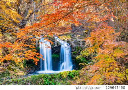 山梨縣的金山瀑布秋色絢爛 129645468