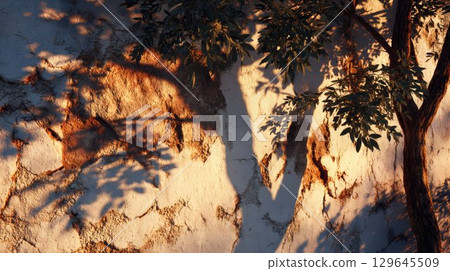 Textured wall with warm sunlight casting intricate shadows of foliage, creating a serene atmosphere and highlighting natural beauty in a tranquil outdoor setting 129645509