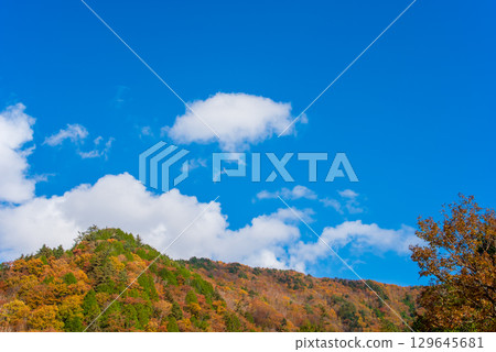 瑟塞拉吉街道沿岸的紅葉（岐阜縣高山市清美町） 129645681