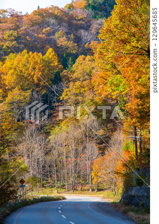 瑟塞拉吉街道沿岸的紅葉（岐阜縣高山市清美町） 129645685
