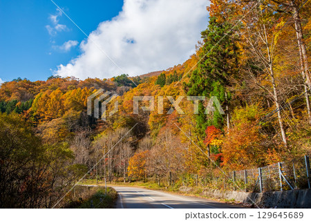 瑟塞拉吉街道沿岸的紅葉(岐阜縣高山市清美町) 瑟塞拉吉街道沿岸的紅葉(岐阜縣高山市清美町) 129645689