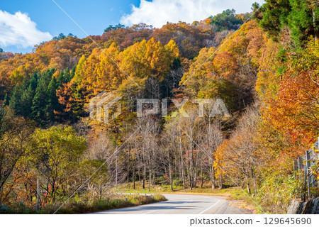 瑟塞拉吉街道沿岸的紅葉(岐阜縣高山市清美町) 瑟塞拉吉街道沿岸的紅葉(岐阜縣高山市清美町) 129645690