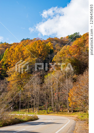Autumn leaves along Seseragi Kaido (Kiyomi Town, Takayama City, Gifu Prefecture) 129645693