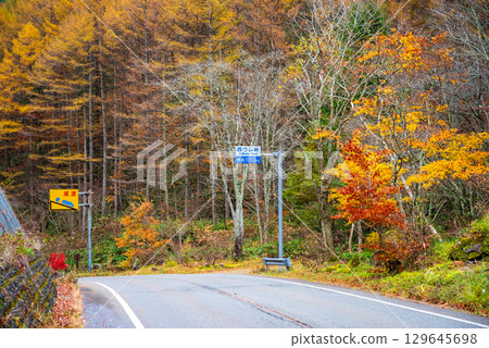 西連嶺的紅葉(岐阜縣高山市清見町) 西連嶺的紅葉(岐阜縣高山市清見町) 129645698