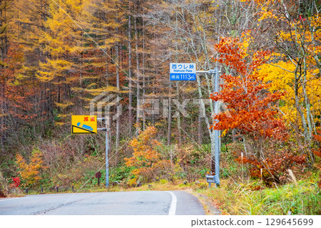 西連嶺的紅葉(岐阜縣高山市清見町) 西連嶺的紅葉(岐阜縣高山市清見町) 129645699
