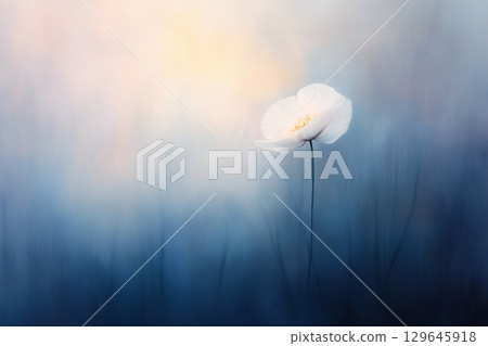 A mystical spring landscape with white poppies swaying in soft light 129645918
