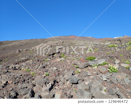 The summit of Mt. Fuji seen from the Subashiri Trail 129646472