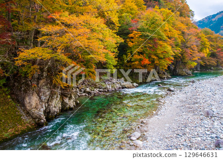 Autumn leaves along National Route 257 and the Maze River (View from Akaume Bridge) 129646631
