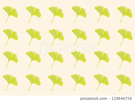 銀杏壁紙 129646758