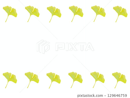 銀杏壁紙 129646759