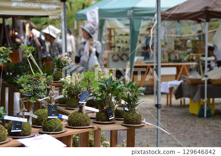 The flea market in spring The flea market in spring 129646842