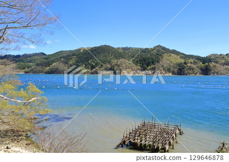 Miyagi Prefecture, Ishinomaki City, Ogihama Port Miyagi Prefecture, Ishinomaki City, Ogihama Port 129646878
