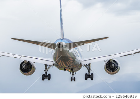 宮城縣名取市夏季仙台機場，飛機降落 129646919