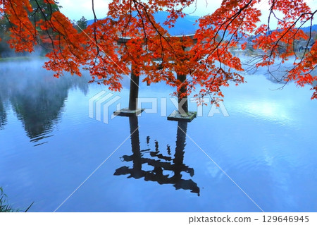 黎明時的金鱗湖（由布市由布院町天祖神社） 129646945