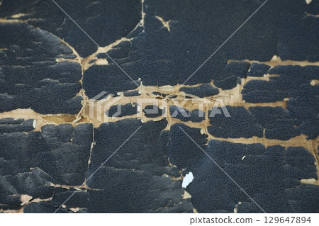 Abstract Leather Texture Macro shot 129647894