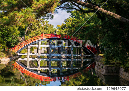 Drum Sori Bashi Bridge at fall, Sumiyoshi Taisha Shrine, Osaka 129648077