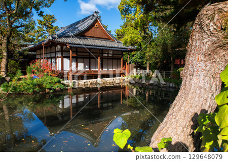 Sumiyoshi Taisha Saikan reflected in pond with blue sky in autumn, Osaka Sumiyoshi Taisha Saikan reflected in pond with blue sky in autumn, Osaka 129648079