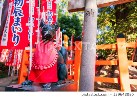 Small Fox by torii gate in fall at Sumiyoshi Taisha shrine, Osaka 129648080