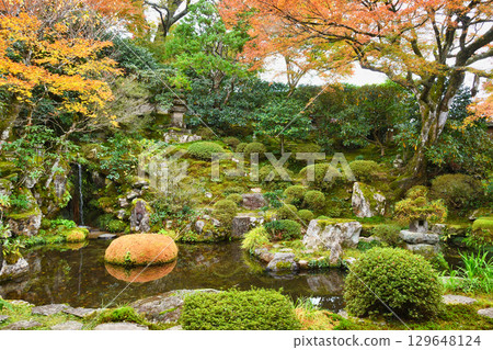 桂心園、實光院、大原的美麗秋葉（京都府京都市左京區） 129648124