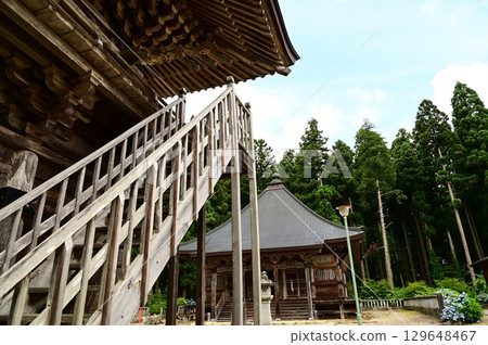 Hydrangeas in full bloom at Otowasan Kiyomizu-dera Temple Hydrangeas in full bloom at Otowasan Kiyomizu-dera Temple 129648467