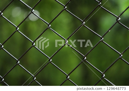 Abstract Metal Fence at Jail wall 129648773