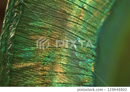 Peacock Feather Pattern Texture Background Peacock Feather Pattern Texture Background 129648802