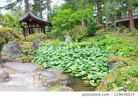 Uesugi Shrine 129648814