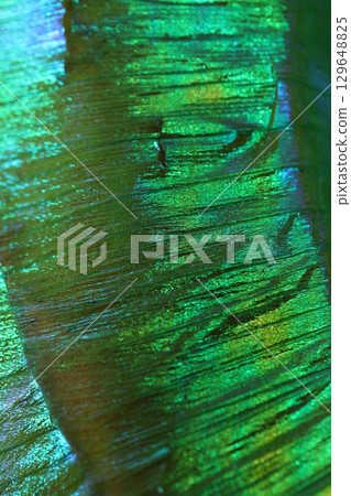 Peacock Feather Pattern Texture Background 129648825