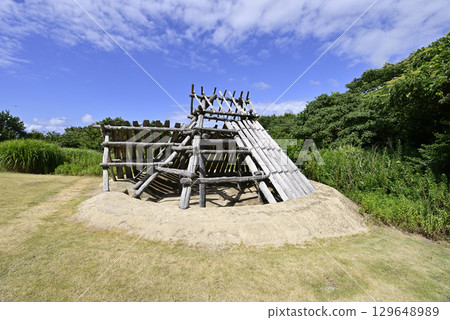 夏天 夏 墳墓 129648989