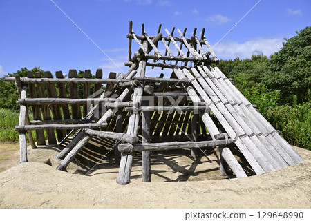 夏天 夏 墳墓 129648990