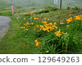 Flower fields of Tengendai Plateau 129649263