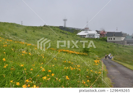 Flower fields of Tengendai Plateau Flower fields of Tengendai Plateau 129649265