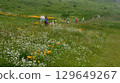 Flower fields of Tengendai Plateau 129649267