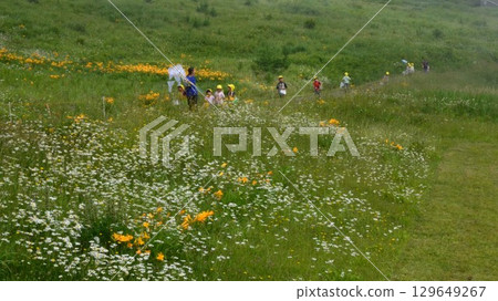 Flower fields of Tengendai Plateau 129649267