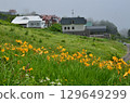 Flower fields of Tengendai Plateau 129649299