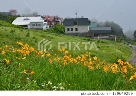 Flower fields of Tengendai Plateau 129649299