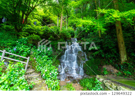 Flower and Stream Village Park (Kotaki), Tsuyama City, Okayama Prefecture 129649322